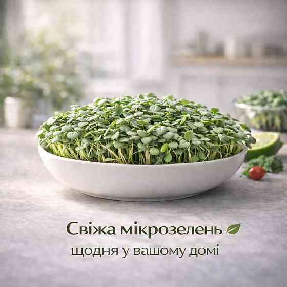 Набір для вирощування мікрозелені 5 культур "Імунітет" з контейнерами та інструкцією (повний комплект) Харків