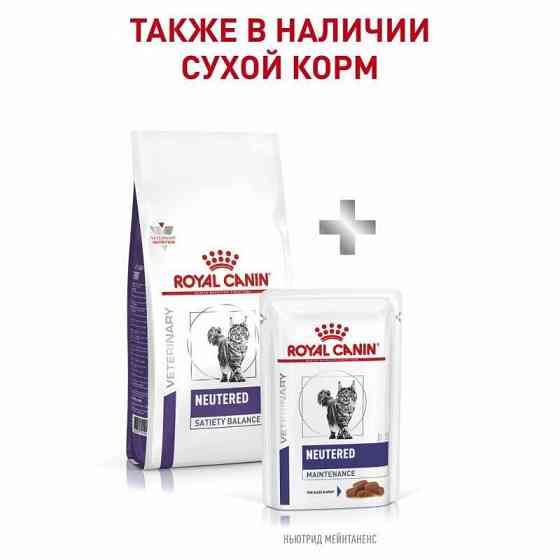 Royal Canin Neutered Maintenance(Роял Канин Ньютед Мэйнтенанс) влажный корм для стерилизованных кошек 85гх12шт Запорожье