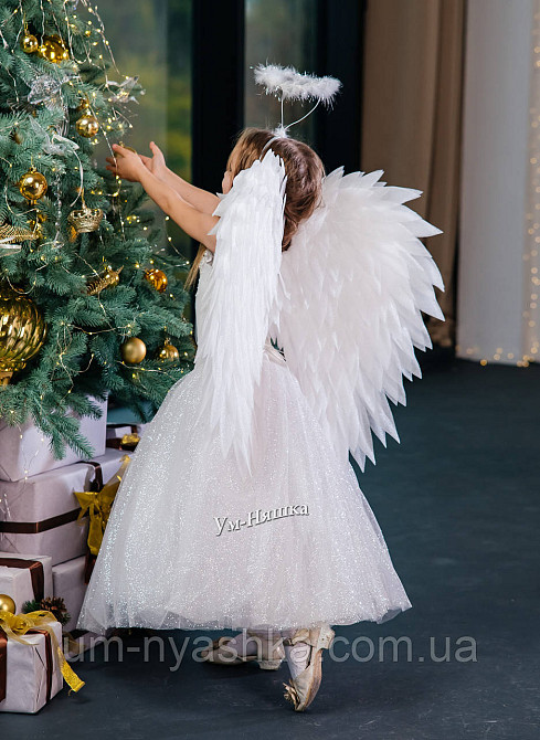 Крылья Ангела большие сердцем Кривой Рог - изображение 9