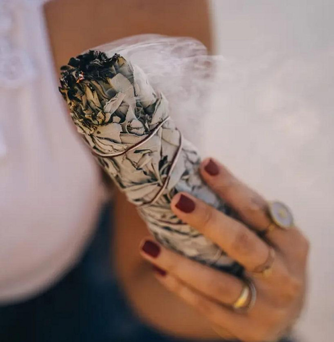 Каліфорнійська біла шавлія для обкурювання (White Sage) пучок 10 см. Київ - фото 4