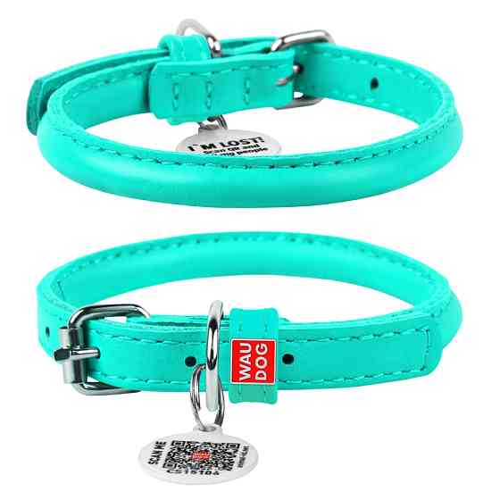 Нашийник для собак шкіряний WAUDOG Glamour з QR паспортом, круглий, Д 6 мм, Дов 17-20 см ментол Коломыя