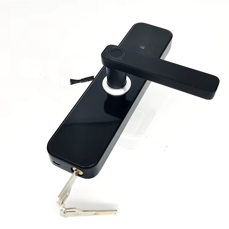 Умный дверной замок с Wi-Fi кодовый KHS-F005, с ключ-картой и отпечатком пальца Каменец-Подольский - изображение 5