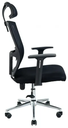 Офісне Крісло Керівника Richman Zuma Сітка Чорний Київ
