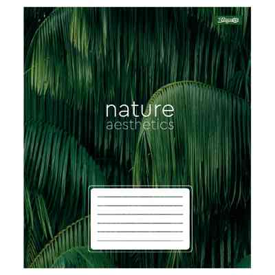 Зошит 1 вересня Nature aesthetics А5 24 аркушів лінія (768101) Вінниця