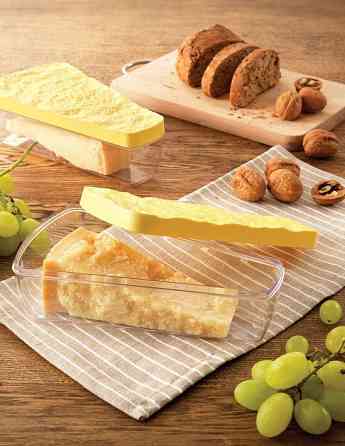 Контейнер для сыра Snips Parmesan Cheese Saver, 0,9 л Киев
