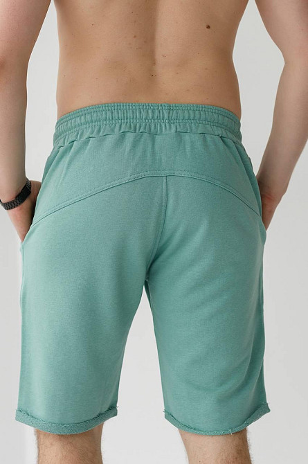 Шорти чоловічі трикотажні Фісташковий XL Харків - фото 6