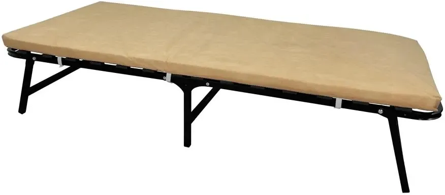 Розкладне Ліжко Erwin с матрасом и изголовьем 190 x 80 см Бежевий Київ - фото 3