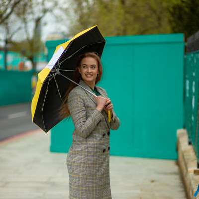 Парасоля Fulton L884-040171 National Gallery Minilite-2 UV Sunflowers (L884-040171) Вінниця - фото 9