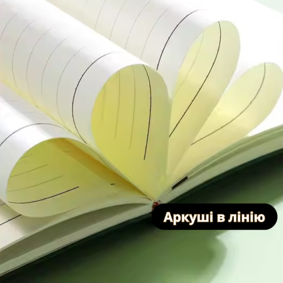 Блокнот А5 на 200 аркушів з ручкою скетчбук з еко-шкіри в подарунковій упаковці, набір 3в1, колір чорний Кам'янець-Подільський