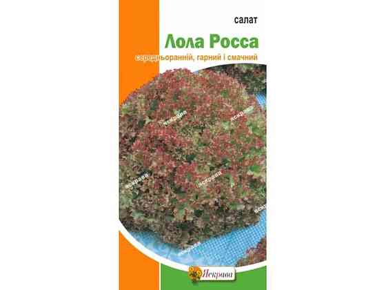 Салат Лола Росса (20 пачок) 1г ТМ ЯСКРАВА Киев