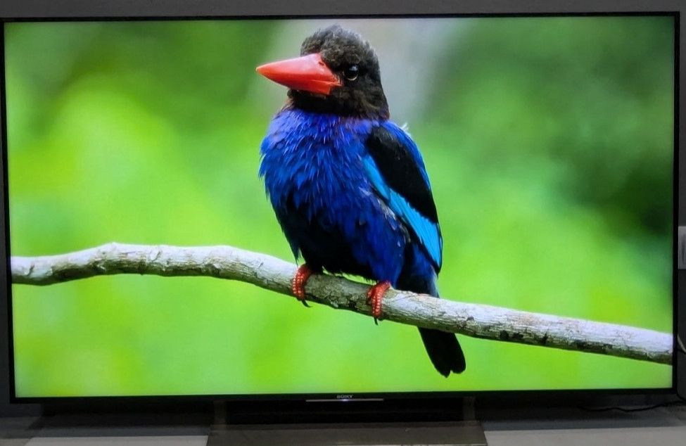 Телевизор Sony KD-55XE9005 , 120Hz. 4K HDR Android TV Киев - изображение 4