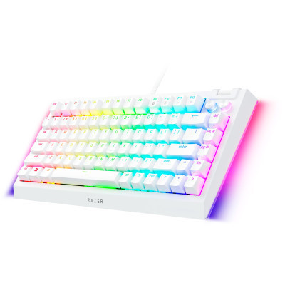 Клавиатура Razer BlackWidow V4 75 USB UA White (RZ03-05001700-R3M1) Винница - изображение 6