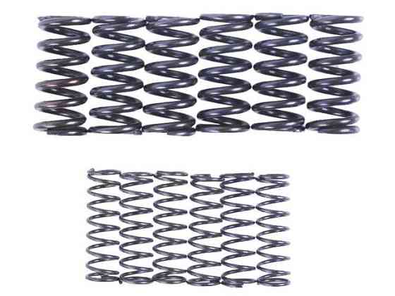 Пружини диска натискного, к-т: 12 шт. - MFC - Мукачево