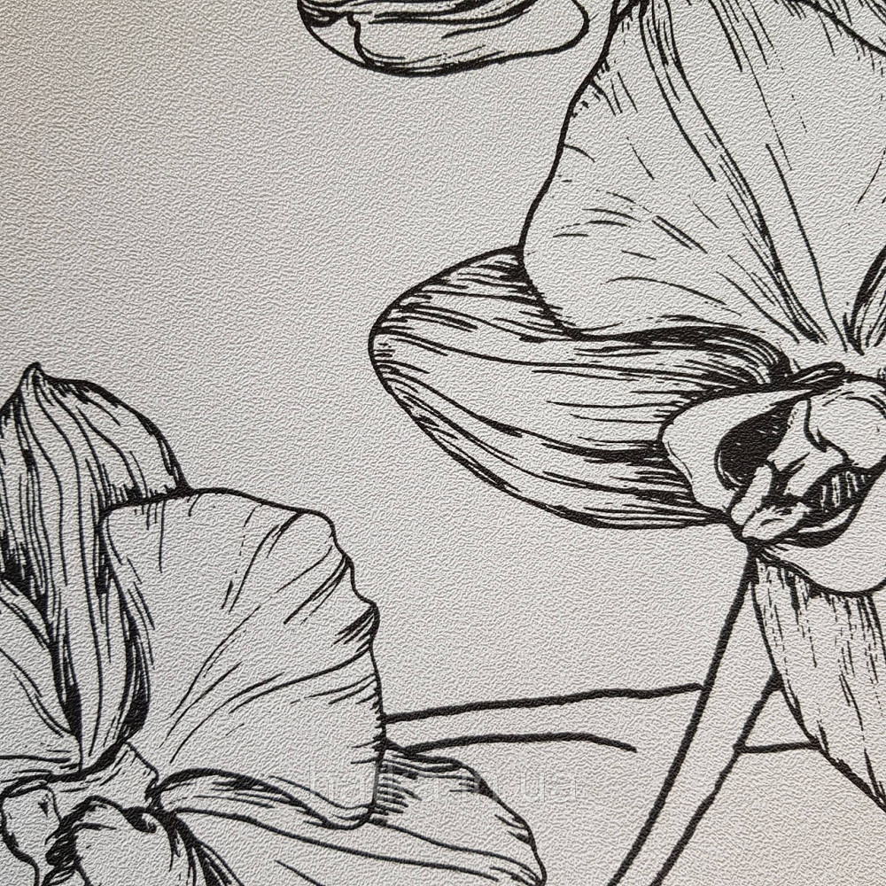 Шпалери вінілові на флізелін Marburg New Spirit панно 2.12х2.7 м квіти листя великі чорні на білому Київ - фото 4