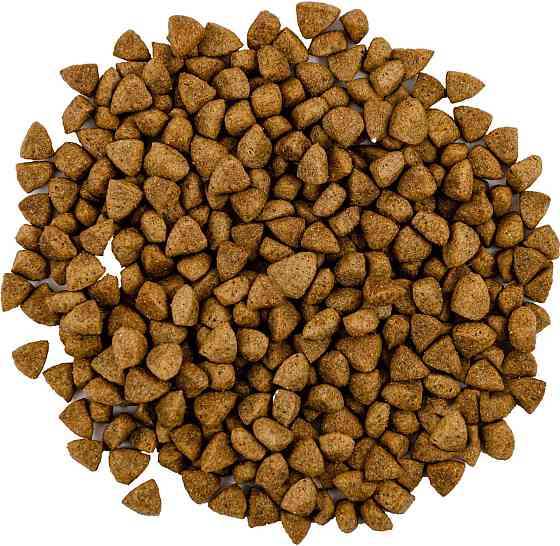 Сухий корм Сейвори Savory Adult Cat Steril Fresh Lamb & Chicken, 8 кг Винница