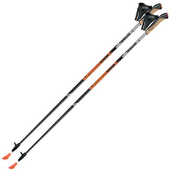 Палки для скандинавской ходьбы Gabel X-1.35 Active Knife Black/Orange 105 (7008361151050) Вінниця
