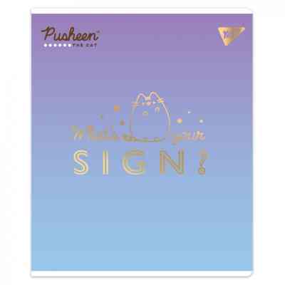 Зошит Yes Goldstar Pusheen А5 12 аркушів клітинка (767493) Вінниця