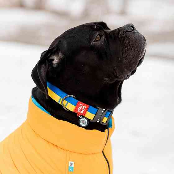 Ошейник для собак нейлоновый WAUDOG Nylon c QR паспортом, рисунок 