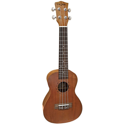 Укулеле Fzone FZU-110M Wood Вінниця - фото 1