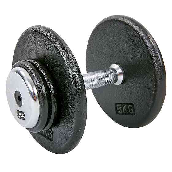 Гантель 15 кг цільна професійна RECORD-7231-15 Київ