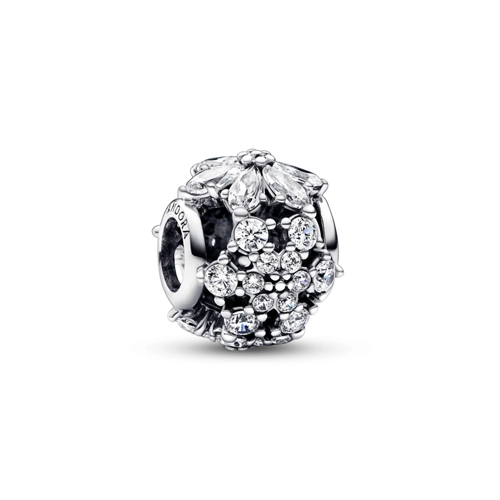 Серебряный шарм Пандора  