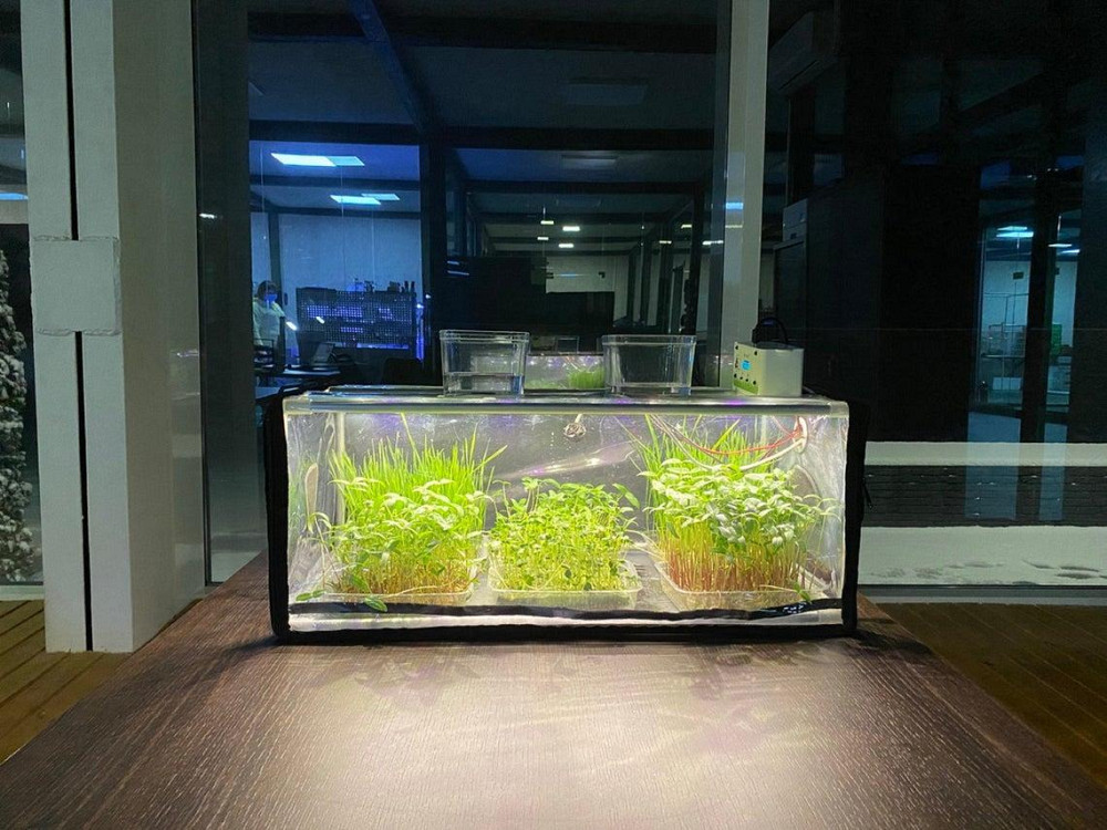 Пророщувач побутовий для насіння, мікрозелені та розсади GreenCap L Metaplant з фітосвітлом та зволо Бориспіль - фото 1