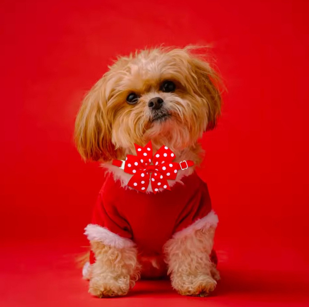 Бантик на шию для собак та котів one size червоно-білий Київ - фото 2