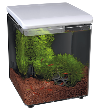 Акваріум акриловий - Superfish Home 8 WHITE (A4051250) Київ