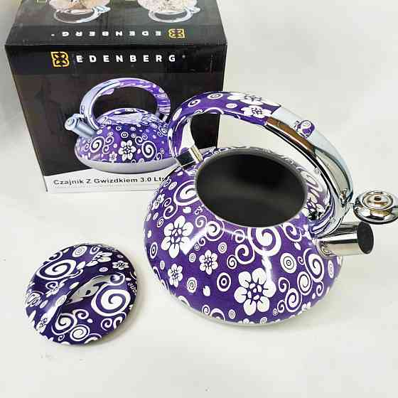 Чайник из нержавеющей стали с пищалкой, Красивый чайник для плит для газовых плит VK-45 Львов