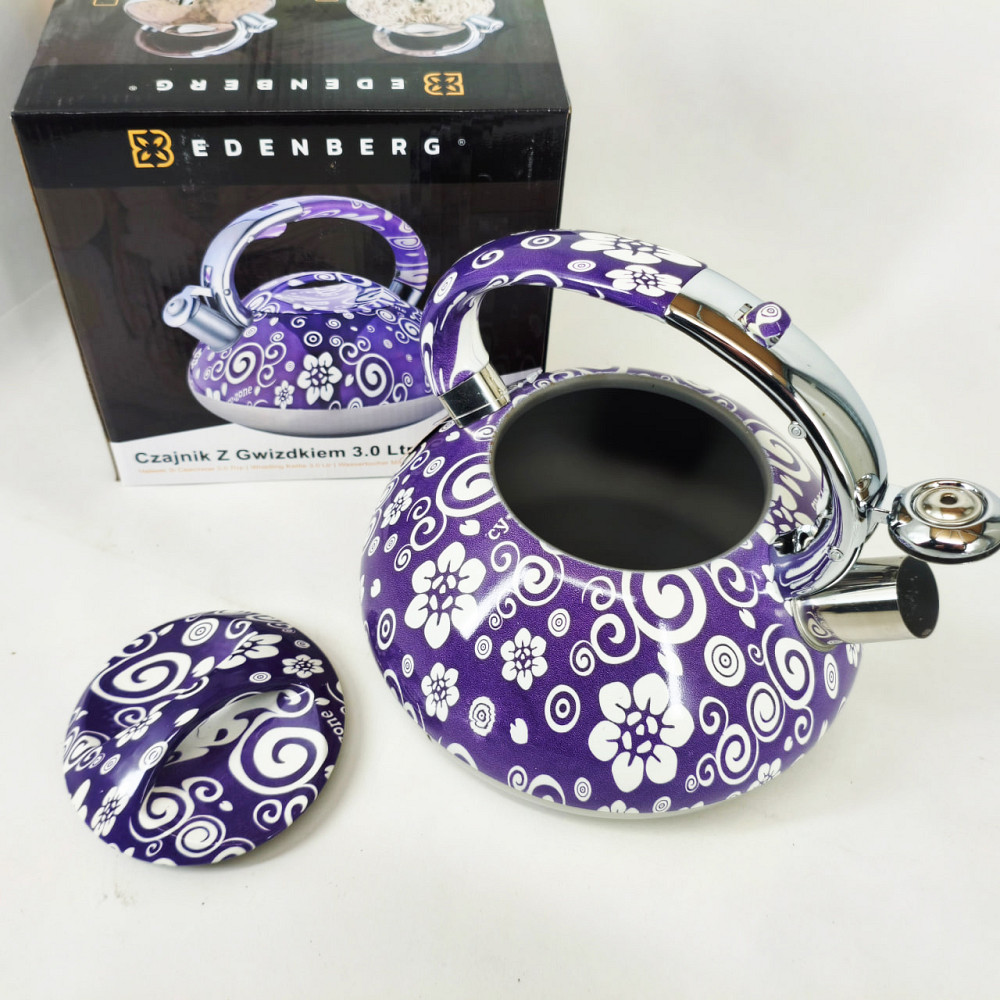 Чайник из нержавеющей стали с пищалкой, Красивый чайник для плит для газовых плит VK-45 Львов - изображение 5