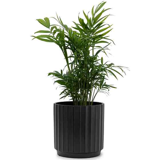 elemi Кашпо для квітів керамічне elemi "Грань" (чорний) 16" круглий 2,4 л Коломыя