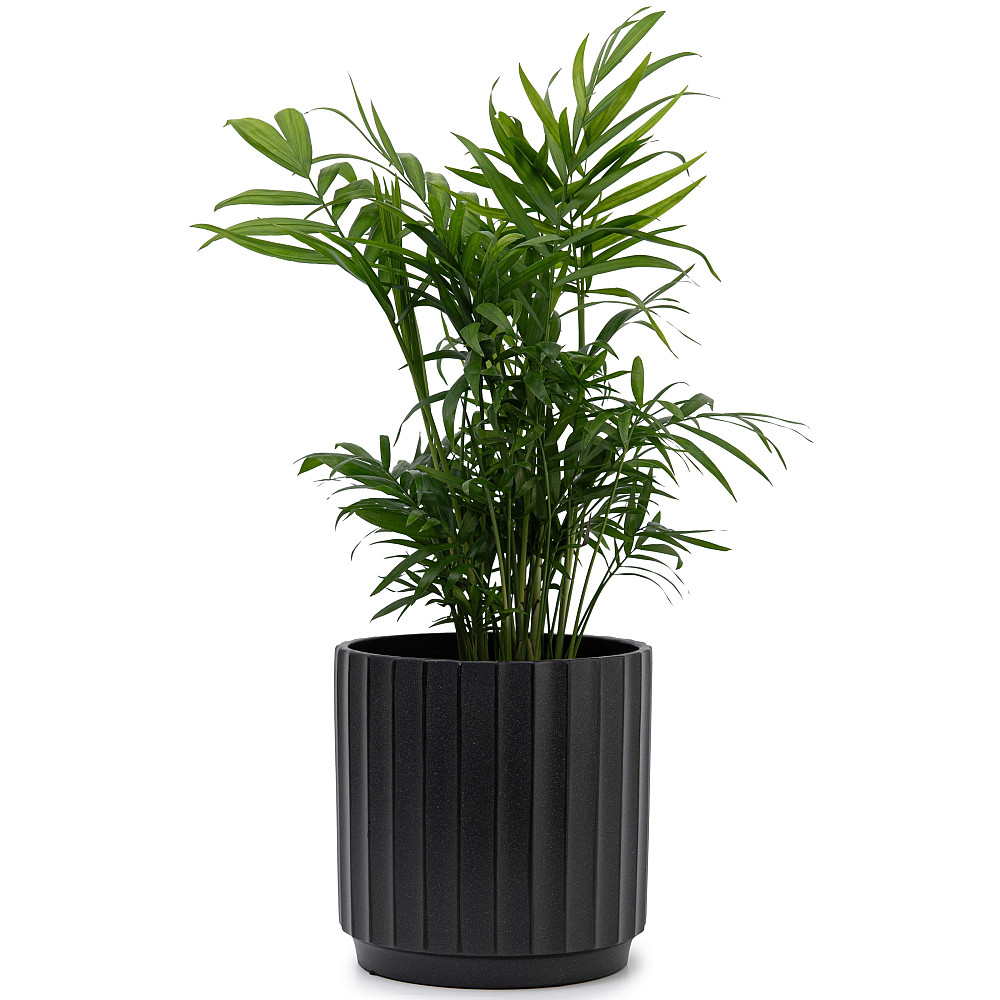 elemi Кашпо для квітів керамічне elemi "Грань" (чорний) 16" круглий 2,4 л Коломыя - изображение 5