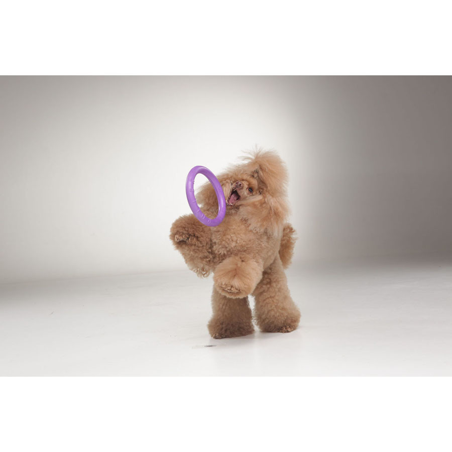 Тренувальний снаряд для собак PULLER Mini, діаметр 18 см Вінниця - фото 8