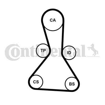 Ремінь ГРМ CONTITECH CT1159 Вінниця