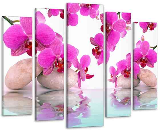 Модульная картина Цветы Орхидея Art-263_5 ( 80х118см ) 115x170 см Киев