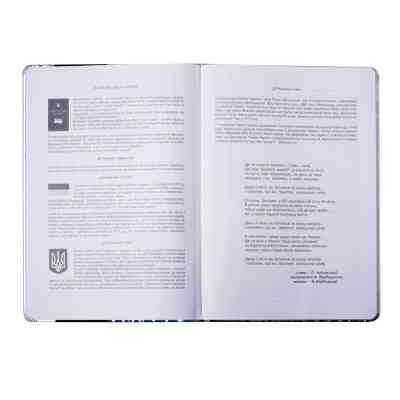 Щоденник шкільний ZiBi В5 48 аркушів тверда обкладинка зі штучної шкіри з поролоном Silver (ZB.13214-24) Вінниця