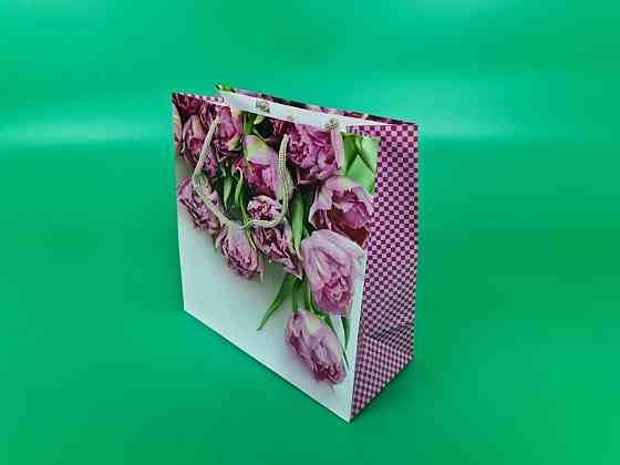 Пакет бумажный подарочный квадратный 23*24*10(артKV-083) (12 шт) Харьков