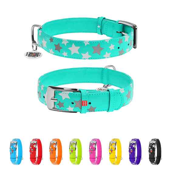 Нашийник для собак шкіряний WAUDOG Glamour з QR паспортом, візерунок "Зірочка", світлонакопичувальний/світловідбивний, XL, Ш 35 мм, Дов 46-6 Київ