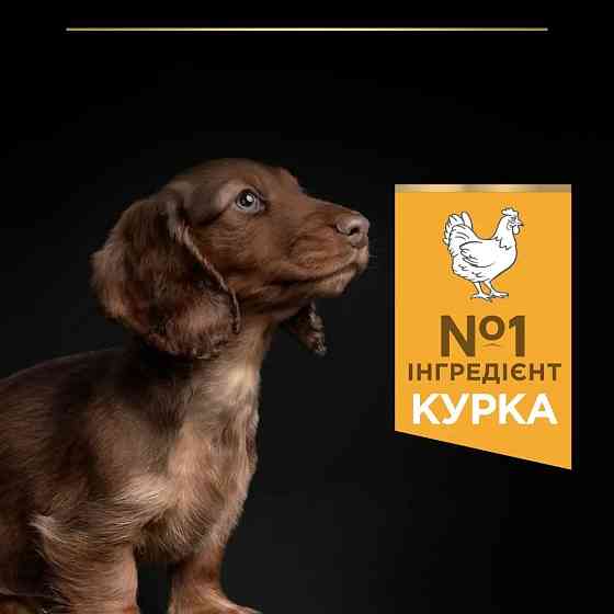 Сухой корм PRO PLAN Small & Mini Puppy  Киев