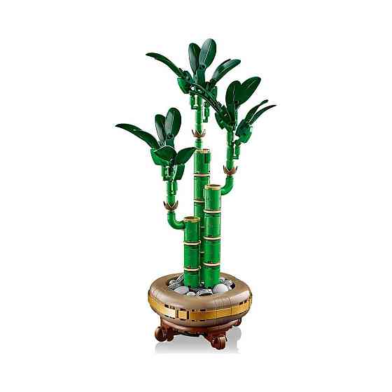Конструктор Botanicals Драцена сандера 325 деталей (10344), совместимый с lego лего Киев