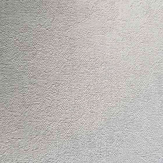 Обои виниловые на флизелине Rasch Raymond 1.06х10 под штукатурку структурные зеленые салатовые 957358 Киев