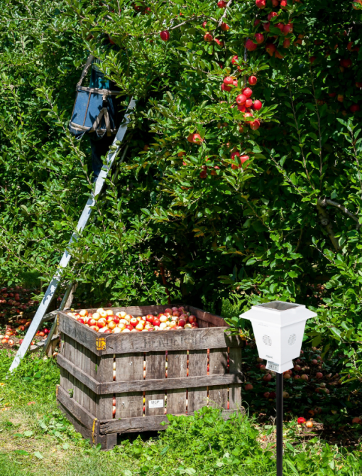 Ультразвуковий відлякувач тварин Xtreme (Польща) Київ - фото 10