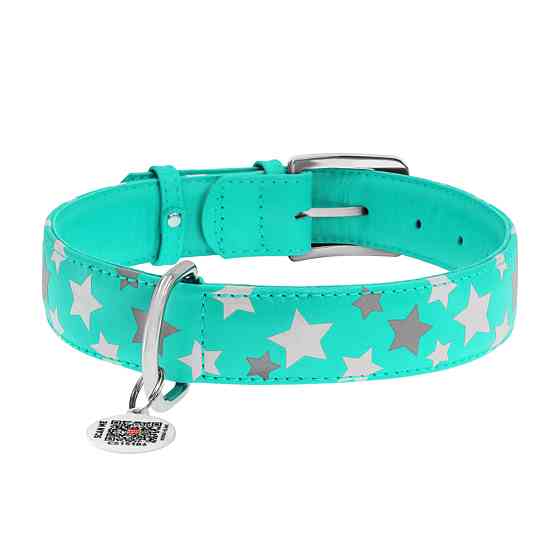 Нашийник для собак шкіряний WAUDOG Glamour з QR паспортом, візерунок "Зірочка", світлонакопичувальний/світловідбивний, XL, Ш 35 мм, Дов 46-6 Київ