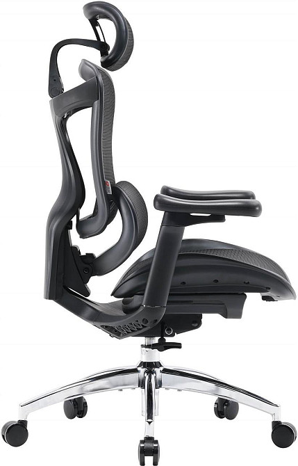 Крісло офісне Sihoo Doro C300L Mesh Black (DORO-C300L-A3-101) ( 15290 ) Харків - фото 3