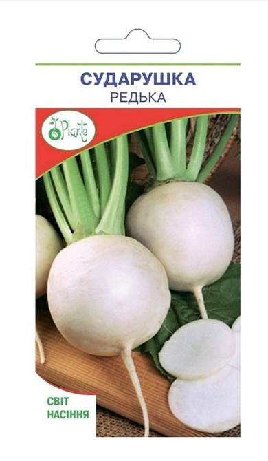 Насіння Редьки Сударушка Київ - фото 1