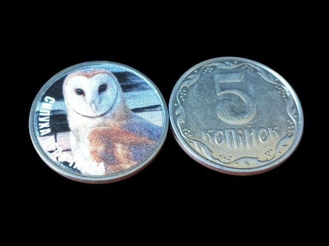 Україна 5 копійок монета нової серії ПРИРОДА УКРАЇНИ СИПУХА КРАПЧАСТА Полтава - изображение 1