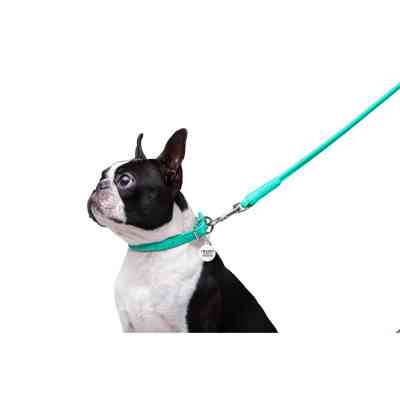 Повідок для собак WAUDOG Glamour круглий XS d 8 мм Д 122 см ментоловий (337713) Вінниця