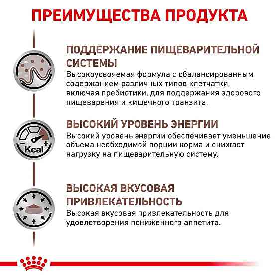 Royal Canin Gastrointestinal (Роял Канін Гастро Інтестинал) вологий корм для кішок для системи травлення 0.085 кг. х 12 шт. Запоріжжя