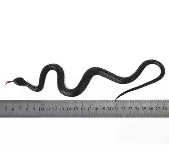 Змія гумова іграшка 23 см чорний Київ