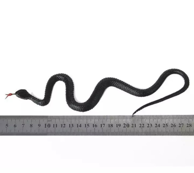 Змія гумова іграшка 23 см чорний Київ - фото 2